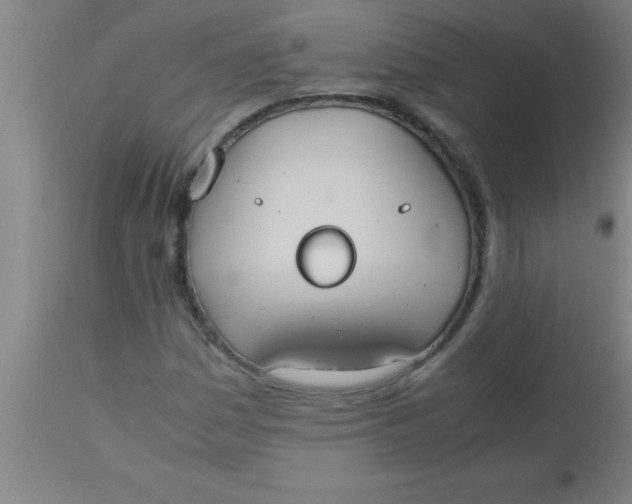 X0000112531161200909071351