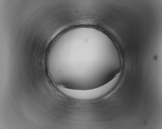 X0000112531162200909071351