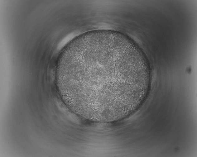 X0000112531163200909071351