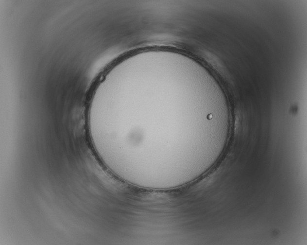 X0000112531164200909071351