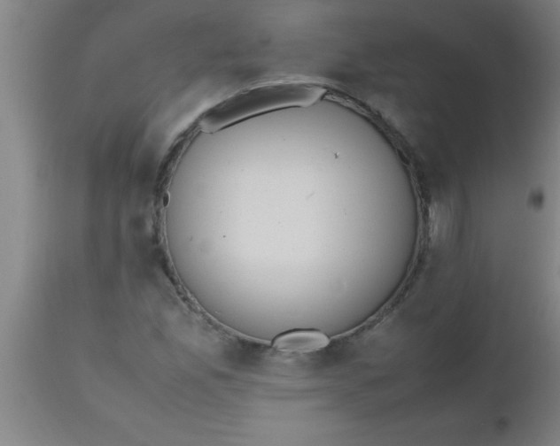 X0000112531165200909071351