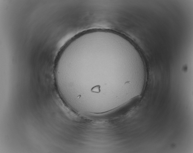 X0000112531168200909071351