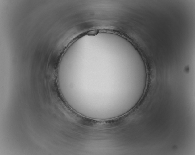 X0000112531169200909071351