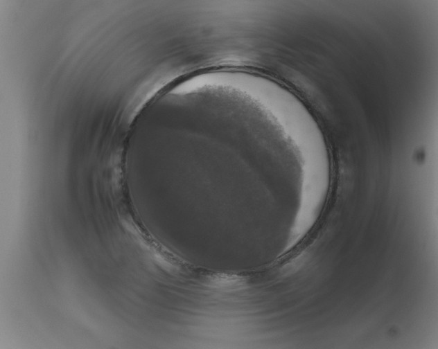 X0000112531170200909071351