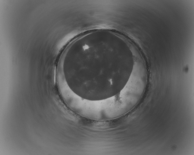 X0000112531171200909071351