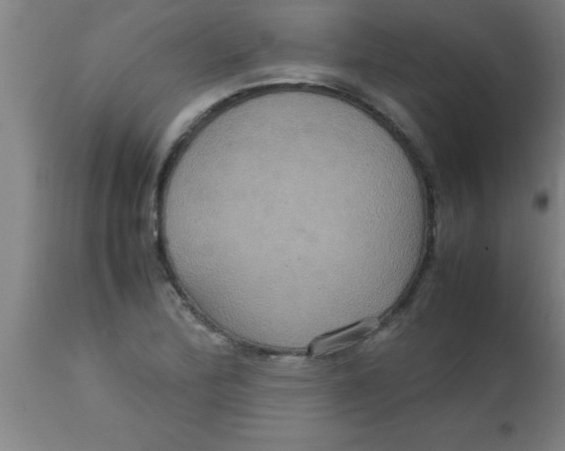 X0000112531172200909071351