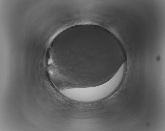 X0000112531173200909071351