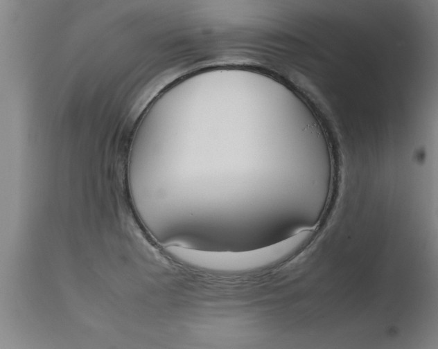 X0000112531177200909071350