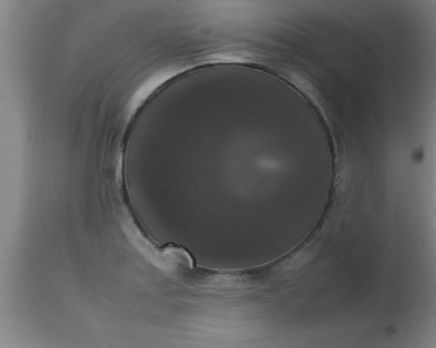 X0000112531179200909071350