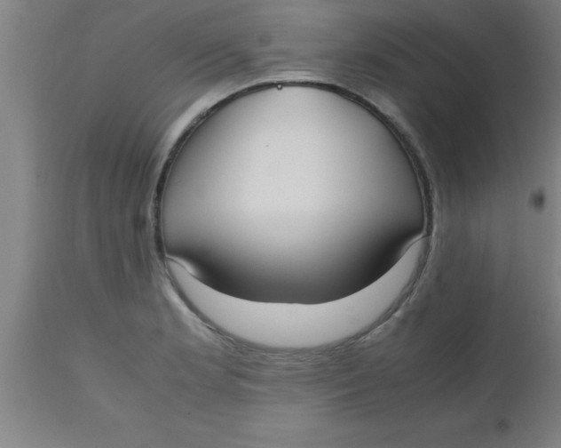 X0000112531181200909071350