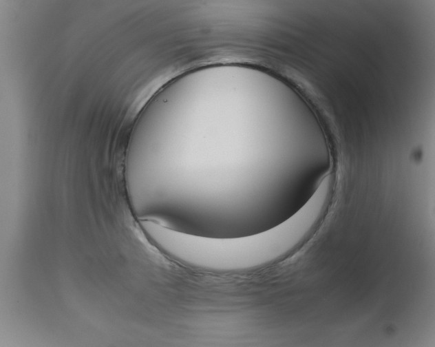X0000112531185200909071350