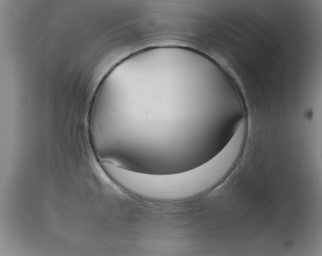 X0000112531189200909071350