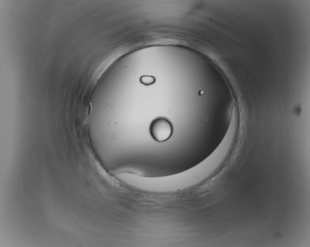 X0000112531193200909071350