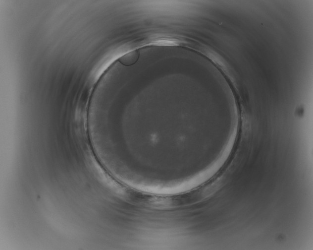 X0000112531194200909071350