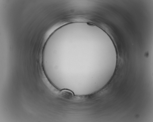 X0000112531195200909071350