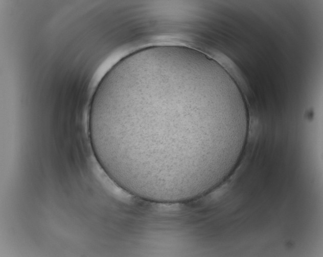 X0000112531196200909071350