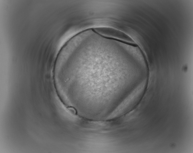 X0000112531197200909071350