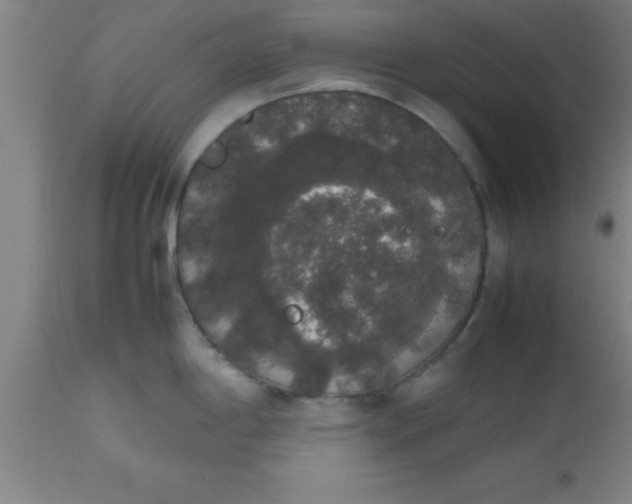 X0000112531198200909071350