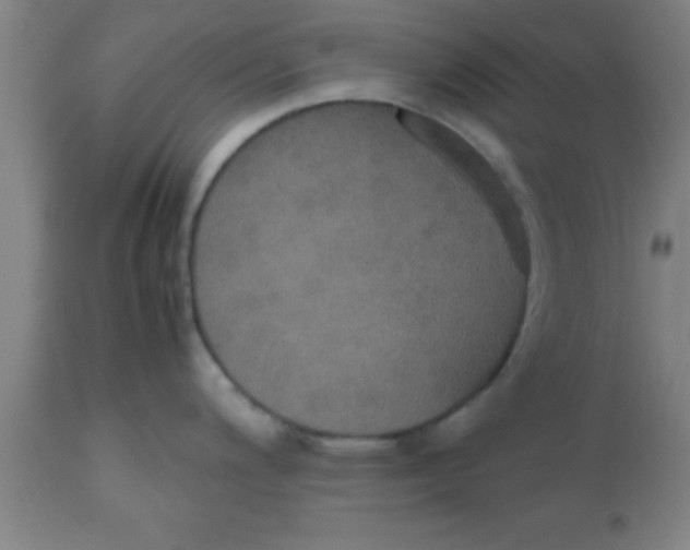 X0000112531200200909071350