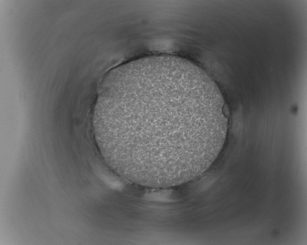 X0000112531201200909071349