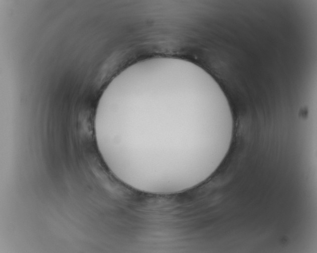 X0000112531202200909071349