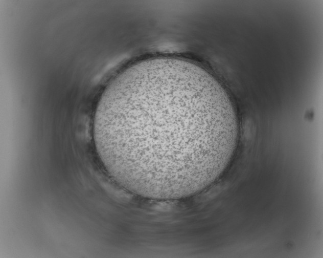 X0000112531205200909071349