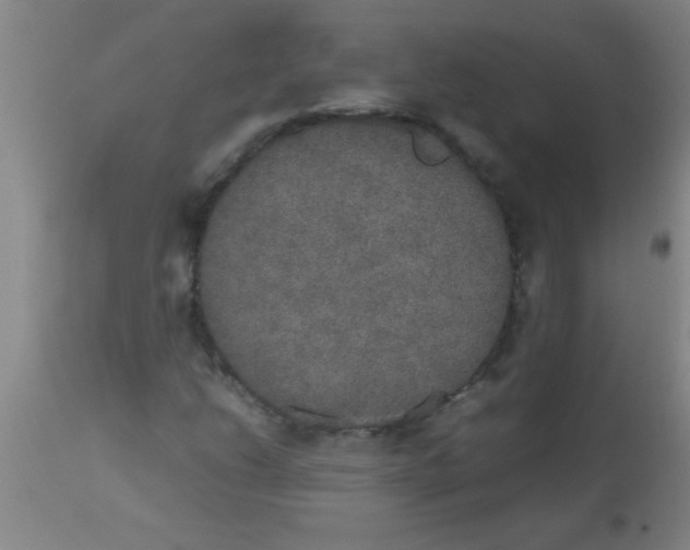 X0000112531206200909071349