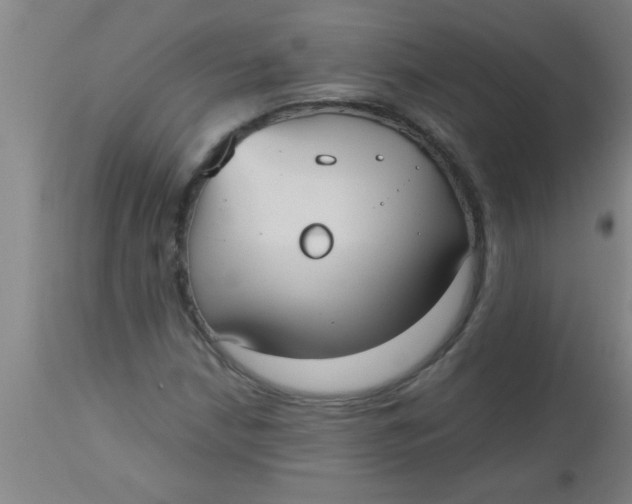 X0000112531210200909071349