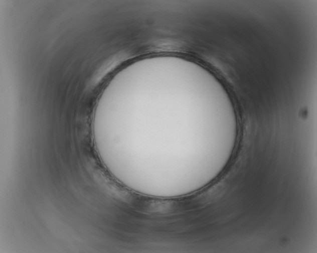 X0000112531211200909071349
