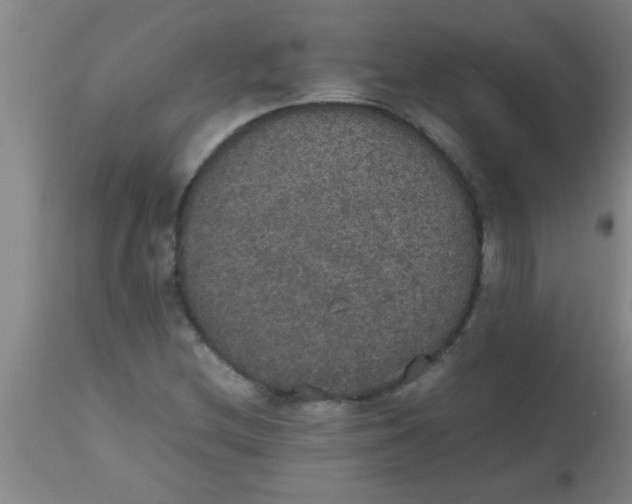 X0000112531212200909071349
