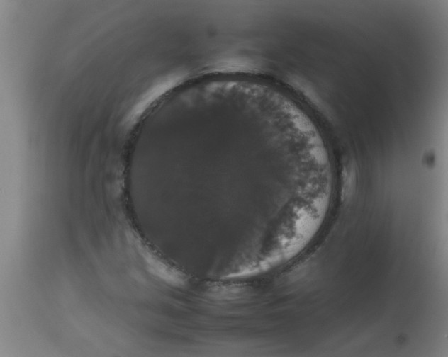 X0000112531213200909071349