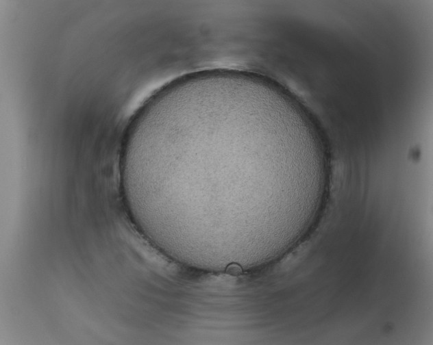 X0000112531214200909071349