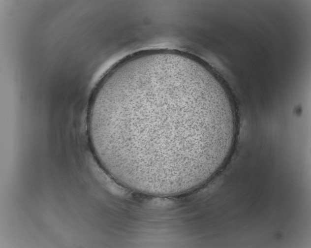 X0000112531216200909071349
