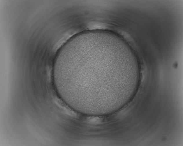 X0000112531217200909071349