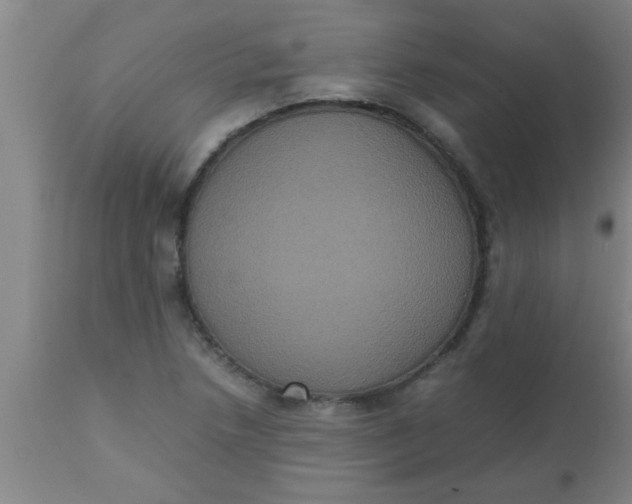 X0000112531218200909071349