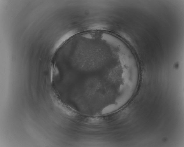 X0000112531219200909071349
