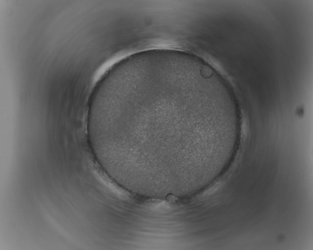 X0000112531222200909071349