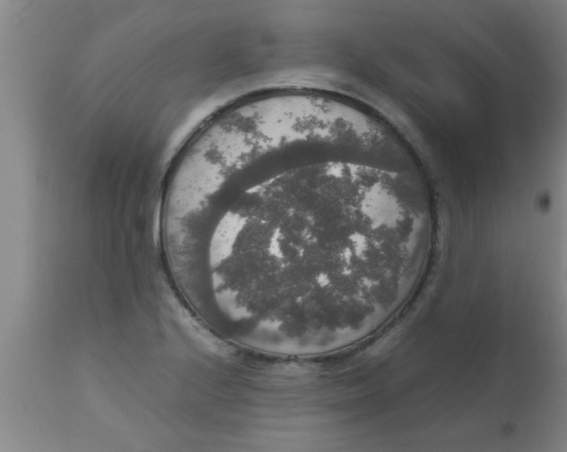 X0000112531224200909071349