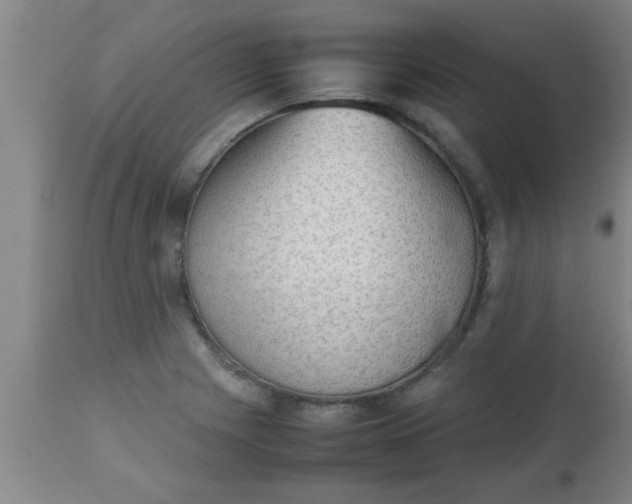 X0000112531225200909071349