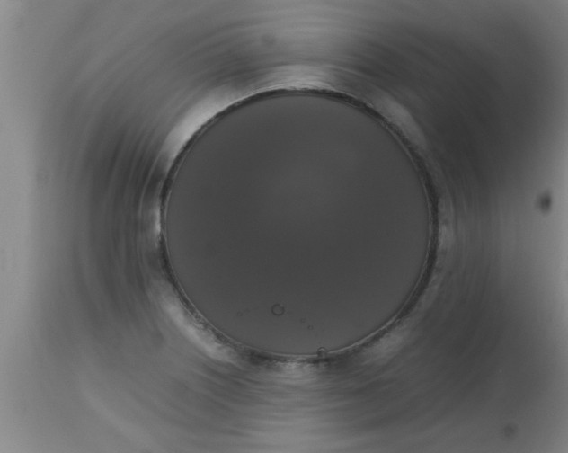 X0000112531226200909071350
