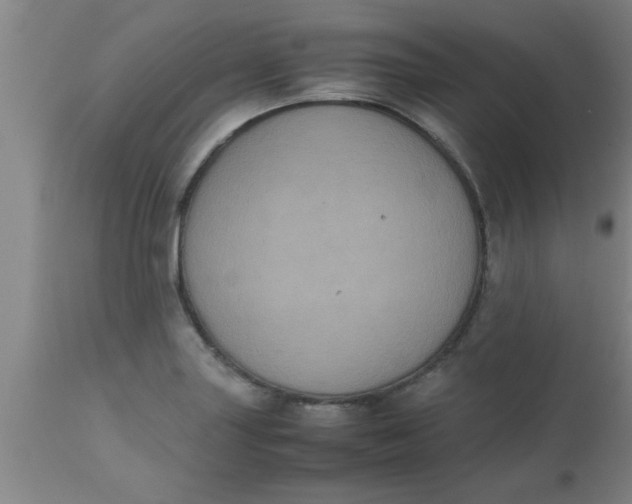 X0000112531227200909071350