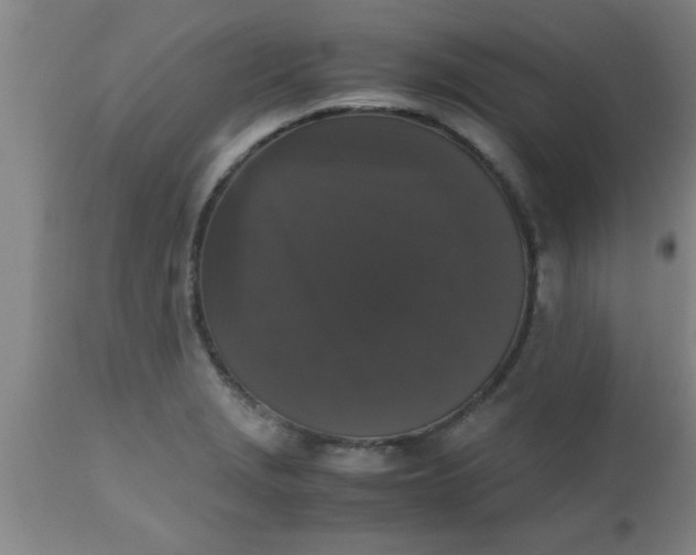 X0000112531229200909071350