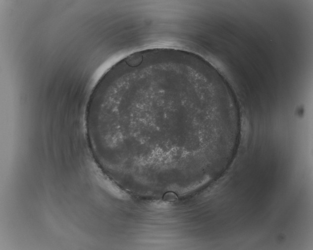 X0000112531230200909071350