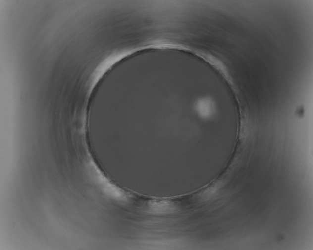 X0000112531231200909071350