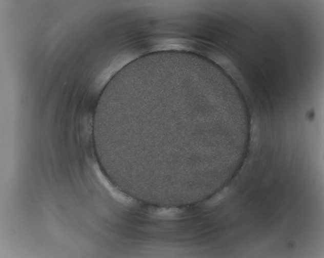 X0000112531233200909071350