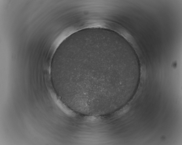 X0000112531234200909071350