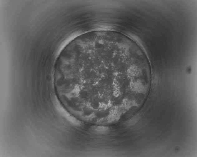 X0000112531235200909071350