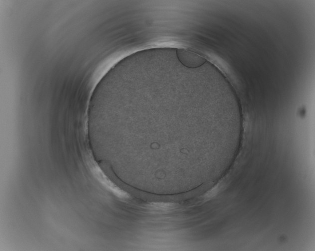 X0000112531236200909071350