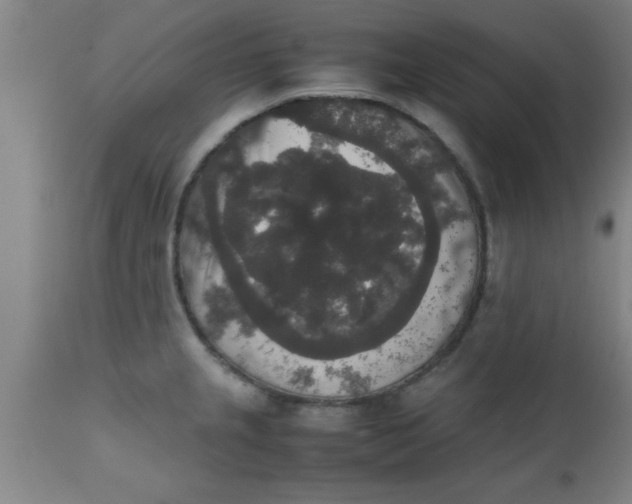X0000112531237200909071350