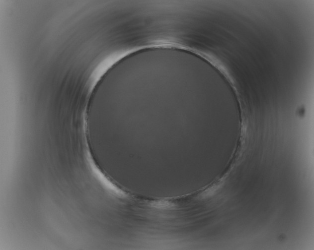 X0000112531239200909071350